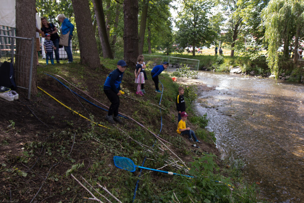 Dorffest_Entenrennen_03